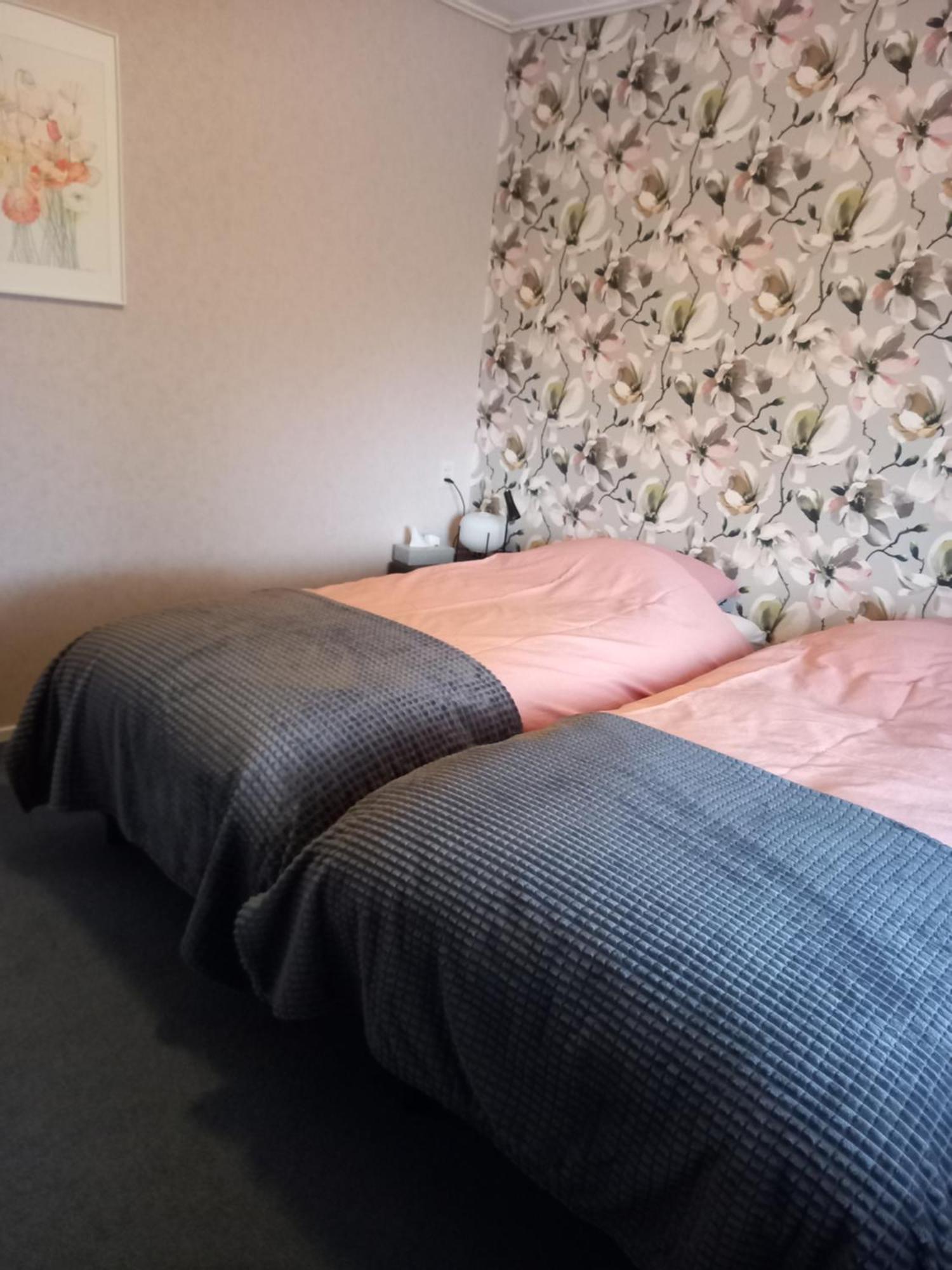 B&B Kleintje Eleveld Extérieur photo