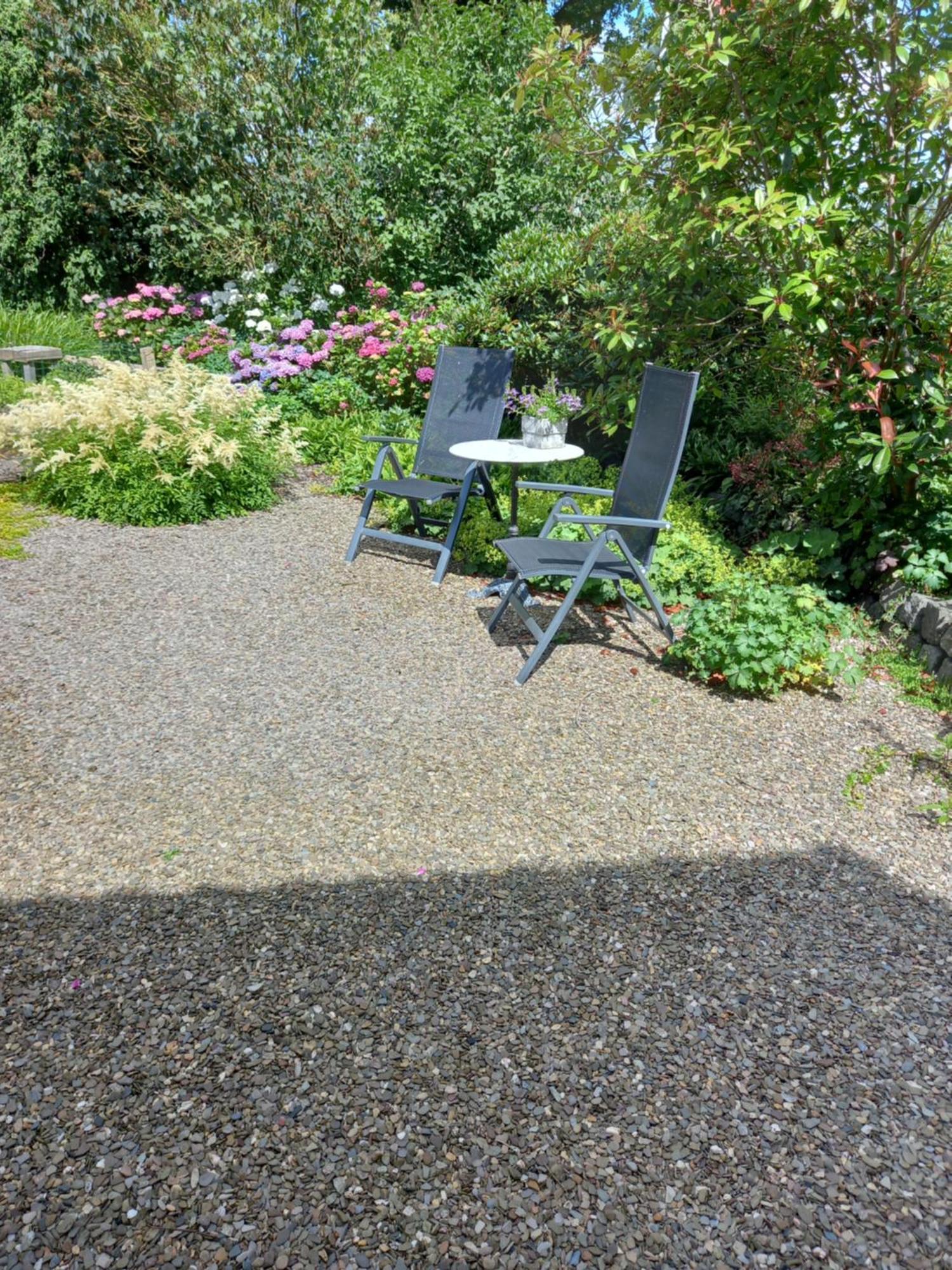 B&B Kleintje Eleveld Extérieur photo