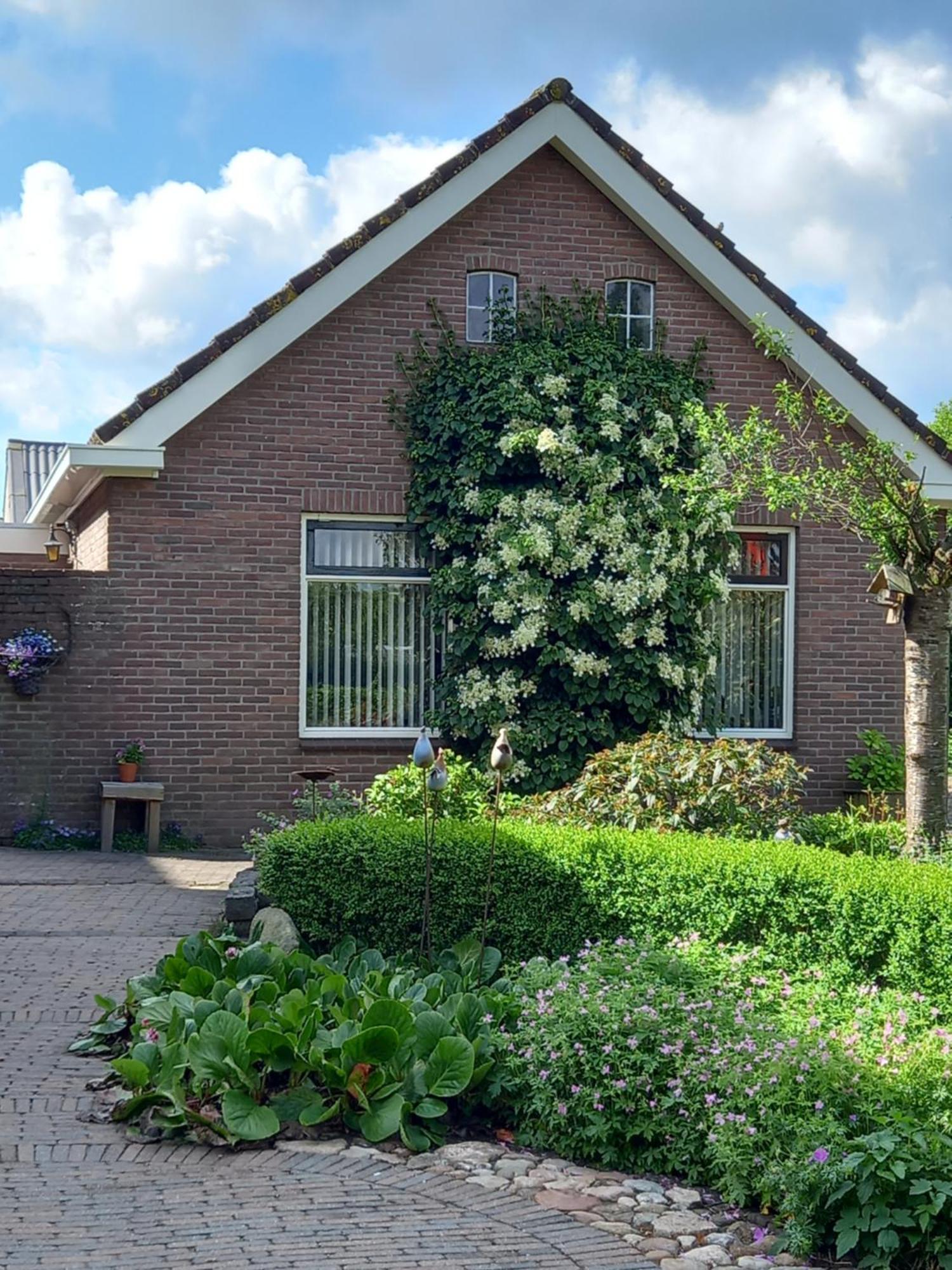 B&B Kleintje Eleveld Extérieur photo